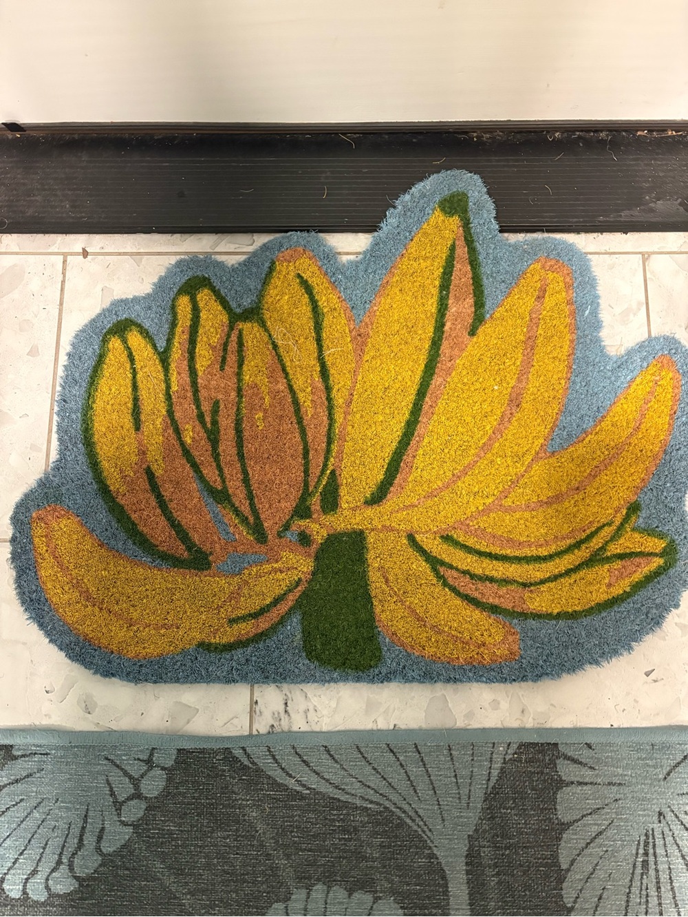 Farm Rio Home Accents Yellow Banana Coir Doormat by